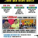 챔피언점핑다이어트