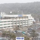 파발로 이미지