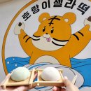 호랑이젤라떡