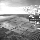 세계 태양광발전소 이미지