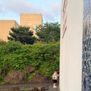 성산어린이집 | 제주 성산 소품샵 올레파머스 성산점 24시 무인 매장 늦은 밤에도 부담 없이 쇼핑해요
