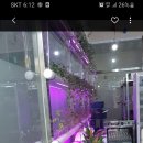 홈톡스닷컴 이미지