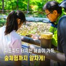 [공지] 피톤치드 터지는 해송이 가득, 충남 서천 국립희리산해송자연휴양림