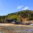 태생7리(문화마을) | 전통건축-10381. 산청 남사마을(남사예담촌) - 담장 너머 살아 숨 쉬는 선비의 고장 (2026. 03.)