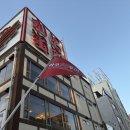 라꾸라꾸투어 | [교토 근교 여행] 아마노하시다테 & 이네후나야 버스 투어 완벽 후기 (예약 꿀팁/먹거리/자전거 투어)