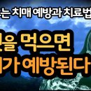 뇌(腦) 老化 늦추는 방법(세브란스병원김광준교수)외 3건 [이수범회장님의 카톡에서] 이미지