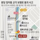 정자교 이미지