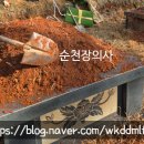 순천장의사