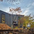 강촌강변마을 | 설렁설렁 즐긴 가을 낭만 투어