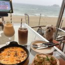 카르텔퍼블릭(kartel public) | 양양 카르텔퍼블릭 기사문해변 애견동반 카페 칵테일바