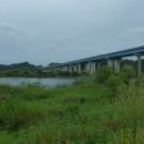 여울쏘가리 이미지