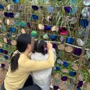 하늘땅물 공작소 | 하늘공원 억새축제 2025 아이랑 다녀온 후기 | 기간·주차·맹꽁이전기차·준비템 총정리