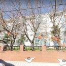 솔로몬부동산 공인중개사사무소 이미지