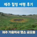 용머리축사 | 제주여행 가볼만한곳 후기 가을 억새 명소 금오름