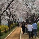 안양천 산책로 이미지