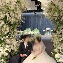웨딩시그니처 합정 트리니티홀 본식 진행 후기