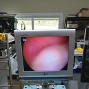 메디스타 이미지