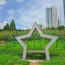 백일홍동산 이미지