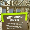 한라산천연보호구역 | 대전 실내 가볼만한곳 미디어아트 천연기념물센터