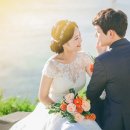 디샵;센티멘탈시너리