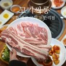시흥 배곧 맛집 고기 무한리필 ‘고기싸롱’ (feat. 내돈내산)