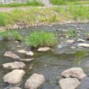 성포역부동산공인중개사사무소 이미지