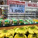 와마트 네이버블로그