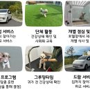 썬샤인유치원 이미지