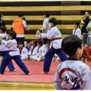 라온제나태권도장 이미지