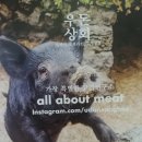 중원구 은행동 고기배달 맛집 우돈상회 / 제주흑돼지 제육불고기/ 어머 이건 꼭 먹어봐야해!