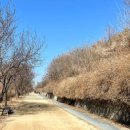 LEE 스크린골프장 이미지