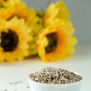 노화해바라기 이미지