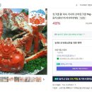 킹크랩대게
