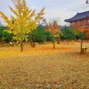 초우 | 경주 초우 오토캠핑장 직접 다녀온 캠핑장 솔직 후기