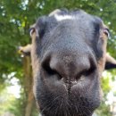 대왕세탁소 이미지