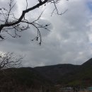 홍두깨산(606.5m).대밭골산(大田骨山364.7m).나부산(蘿富山303m).태봉산(胎峰山400.7m)/경북 청도 이미지