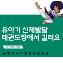 용인대국가대표태권도장 이미지