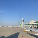 (스압) 상하이 여행 사진 푼다 … 이미지