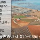 신안군 압해읍 대천리 전1852제곱,매1억1200만원,전남토지매매,신안토지매매 이미지