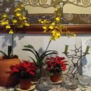 호텔카리브 이미지