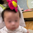 24.6월 일상(상반기 끝,강남역 직장인,강릉 출장,태안 가족여행)
