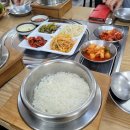 버드나무，무，DC마트