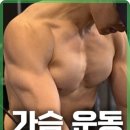 더 핏포유 이미지