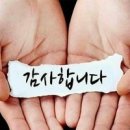 담아 이미지