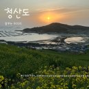 아라메길(2-1) | 느림이 행복이 되는 섬, 4월 청산도 슬로길 1박2일 트레킹 후기