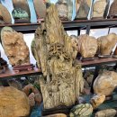 호수모텔 이미지