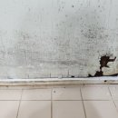 영진로얄아파트 | 대전 대덕구 법동 영진로얄 아파트 화장실문·욕실문 ABS 도어 교체 시공 후기