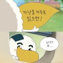 예랑도장 | W12 [답프로포즈] - &#39;너 내 남편 할래?&#39; 통장편지, 영상편지, 커플도장 후기