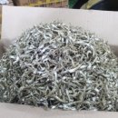 기선권현망수산업협동조합(멸치권현망수협) 이미지