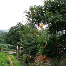 백운사 입구 좌측 이미지